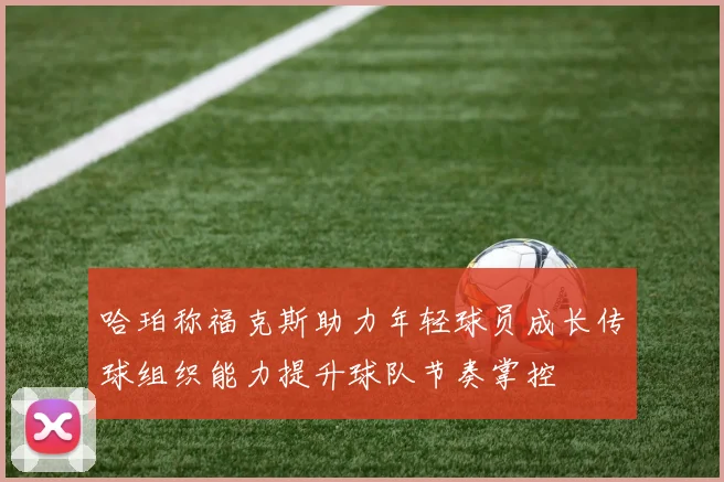 哈珀称福克斯助力年轻球员成长传球组织能力提升球队节奏掌控