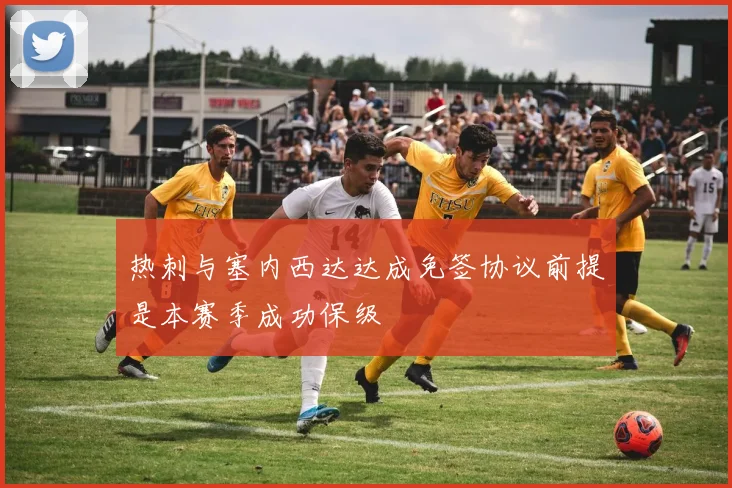 热刺与塞内西达达成免签协议前提是本赛季成功保级