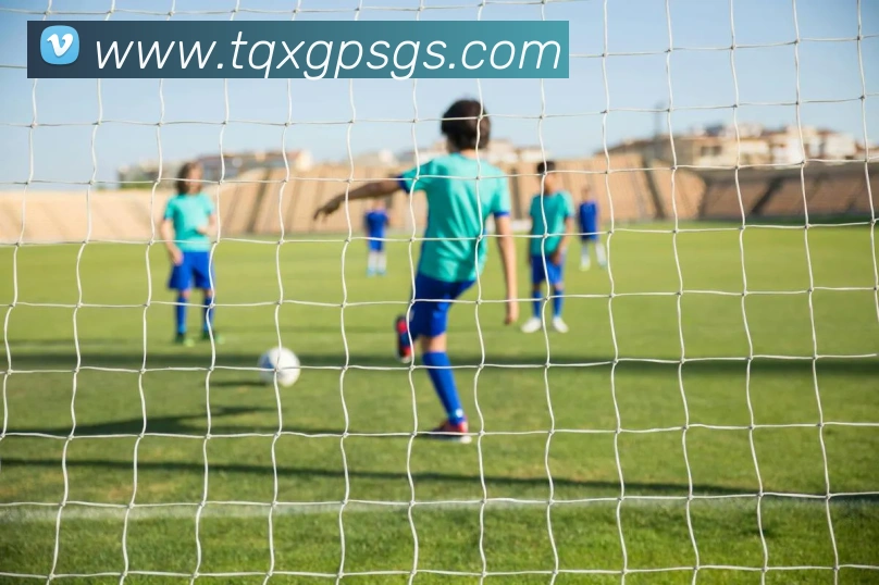 乐鱼APP 高清赛事图